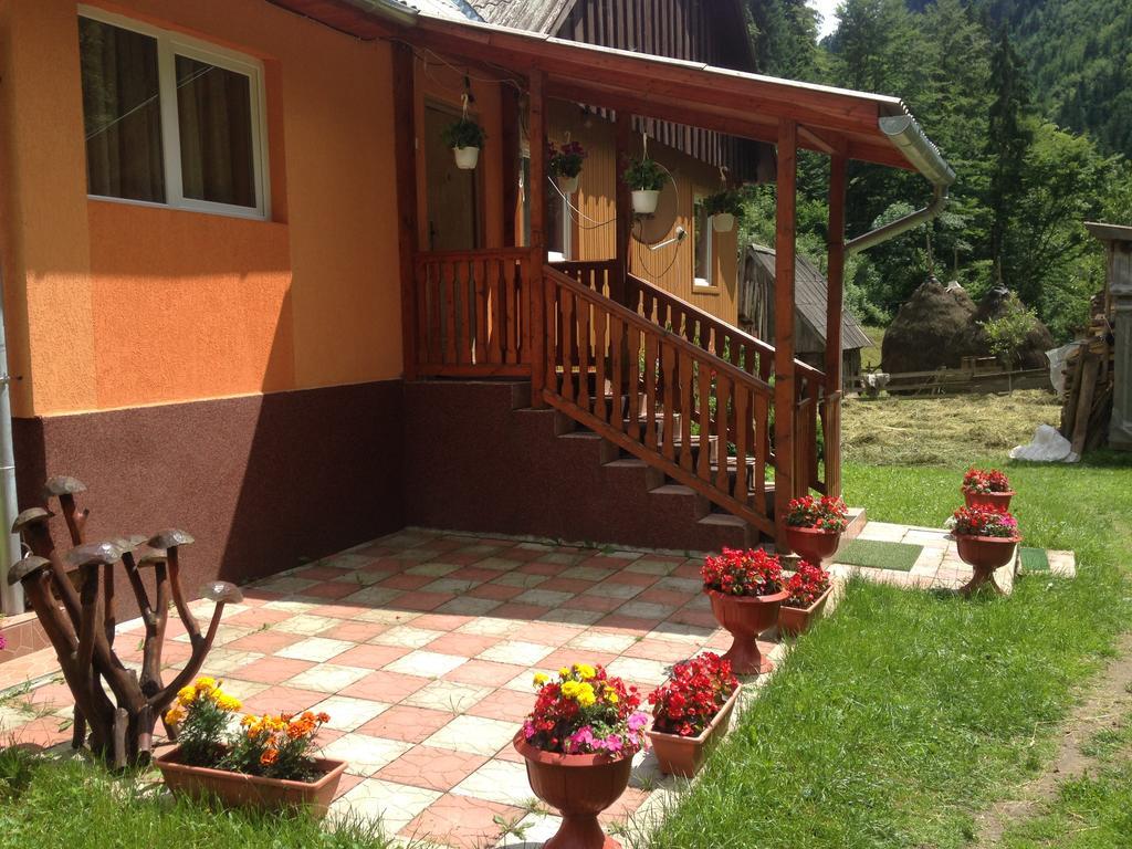 Moara Lui Ivan Hanasesti Exterior photo